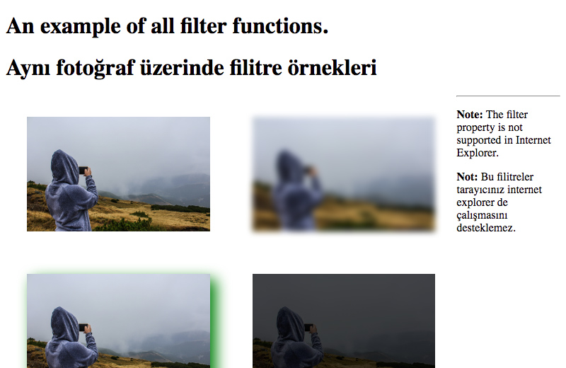 Photo Effect Gallery