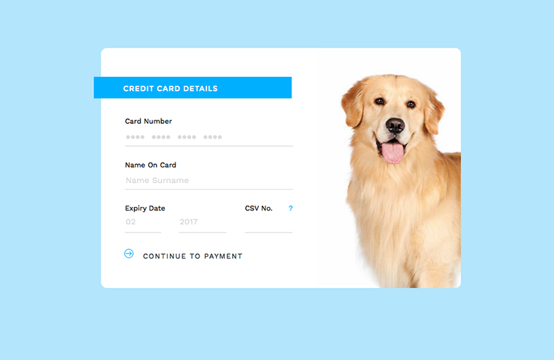 #Codevember Credit Card Checkout