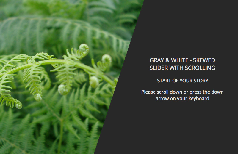 Gray & White - Skewed Slider With Scrolling