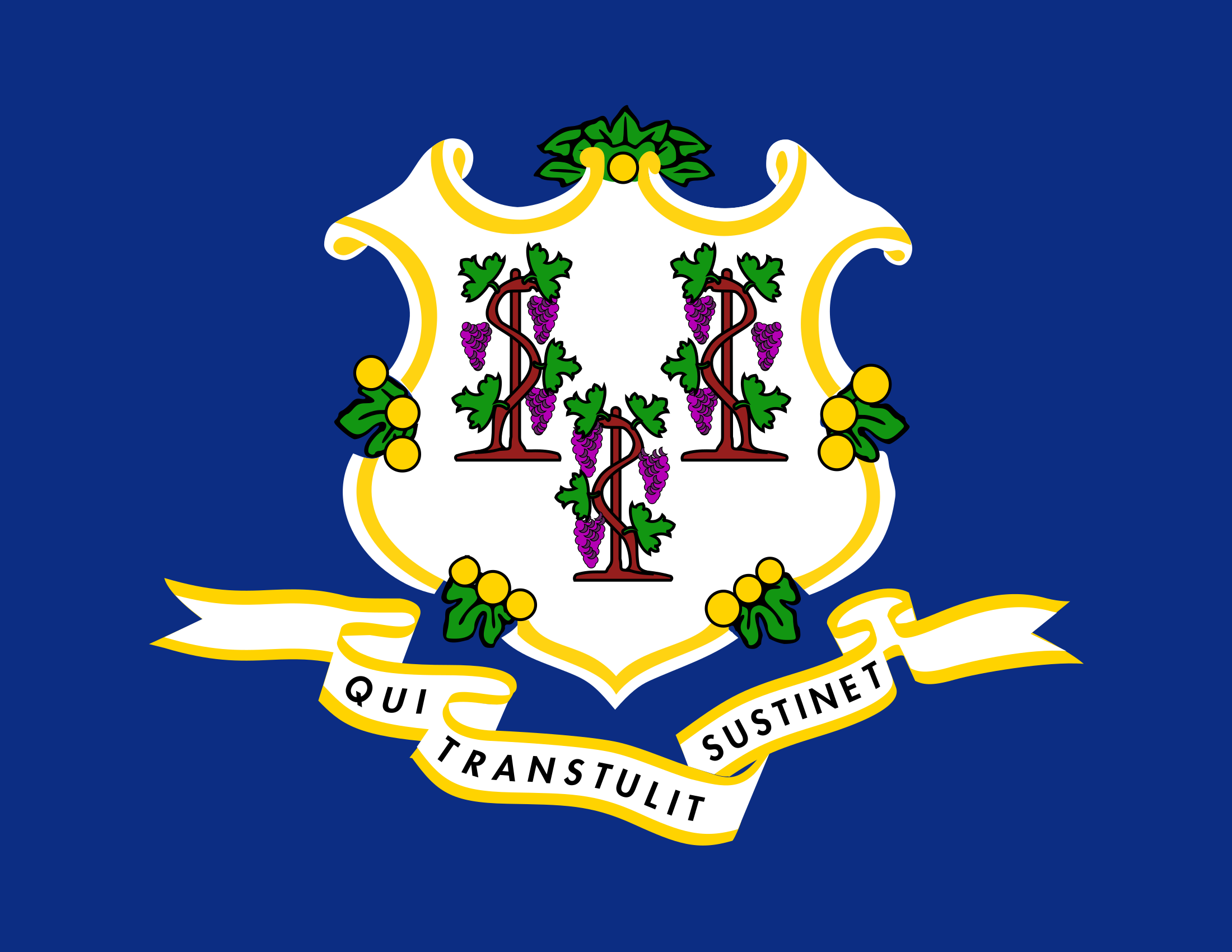 Connecticut State Flag PNG