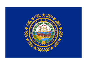 New Hampshire State Flag