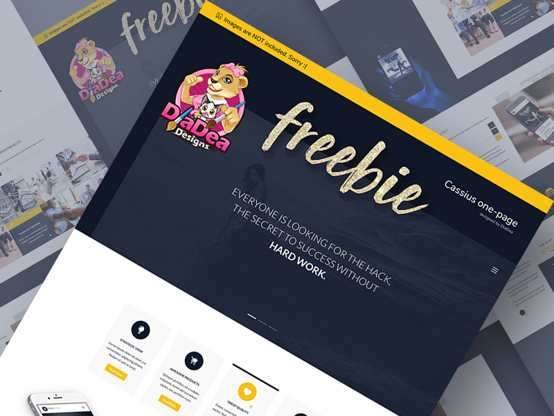 Cassius Business One Page Template PSD