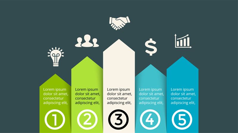 Chart Infographic Template
