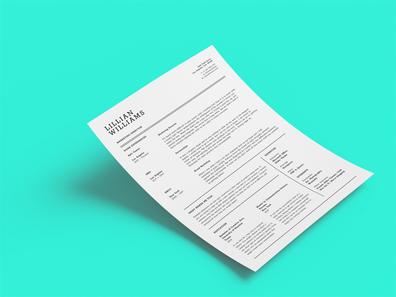 CV Template for Fingma