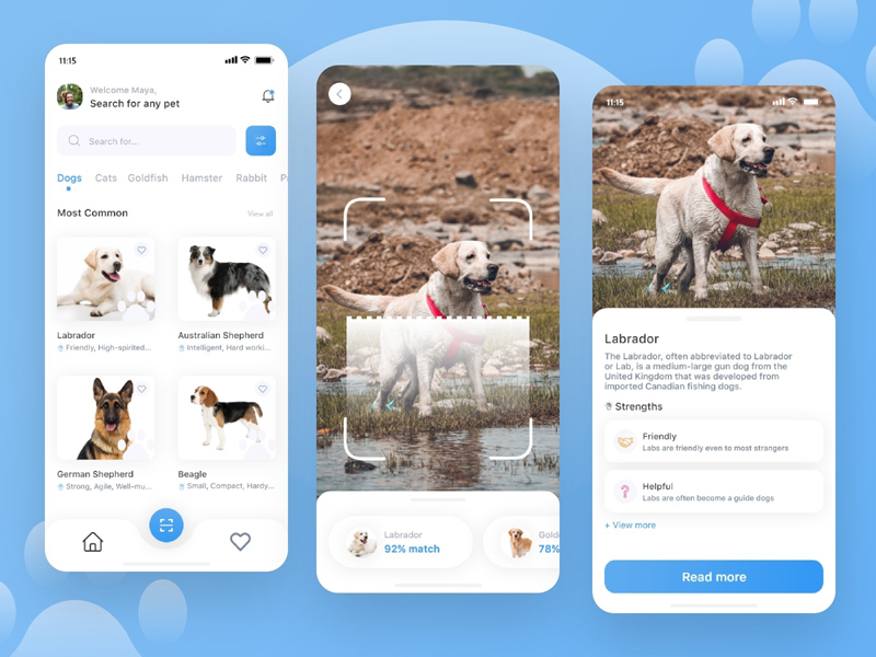 Pet Identifier App Concept