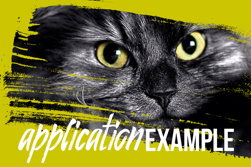 Photoshop Paint Masks: Free PSD