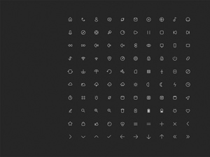 100 Essential Icons