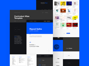 2017 CV Template 2017 By Behance PSD