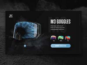 Anon Product Overview : Free PSD