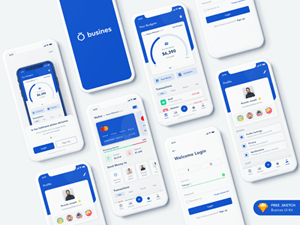 Bank App Kit Concept