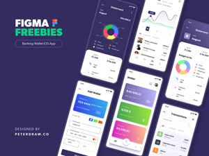 Digital Wallet iOS App UI