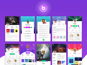 Bas UI Kit by Uddin