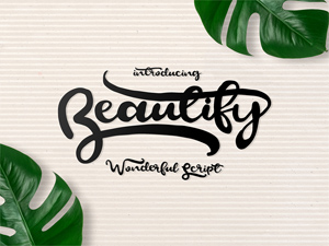 Beautify Wonderful Free Script