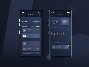 Bitcoin Finance App Design by Brice Séraphin