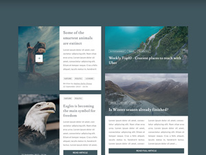 Blogant Blog & Magazine UI Kit – Free Resource
