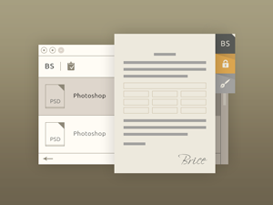 Browser Options – PSD Freebie