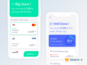 Budget Management App UI Concept