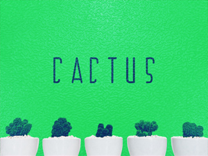Cactus Typeface – Free Font