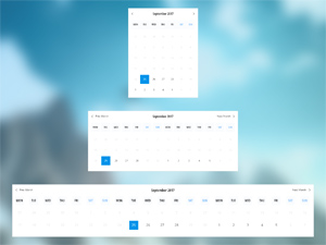 Calendar / Date Picker