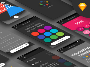Color Palette App Concept made in Sketch