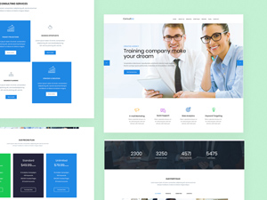 ConsultBiz PSD Website Template