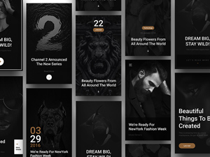 Cover App Screen – Gold & Coal Project