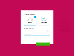 Credit Card Checkout: Free PSD