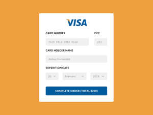 Credit Card Payment Form by Johnny Jakubowicz