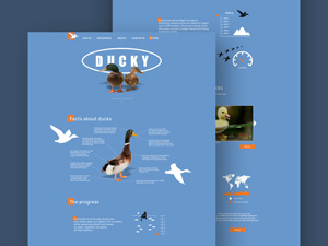 Ducky Social Website by Dmitriy Klochko