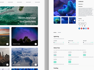 E-Commerce Website Template