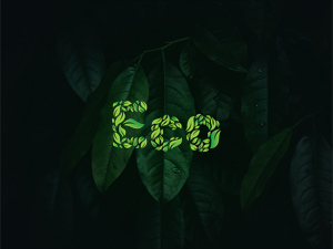Eco – Free Leaf Font Illustration