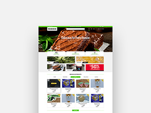 Ecommerce Website Landing Page Template by The Dezane