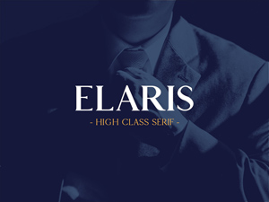 Elaris Regular Typeface – A High Class Free Serif Font