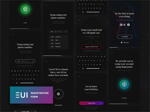 EUI Registration Walkthrough UI PSD