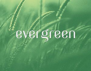 Evergreen Free Font