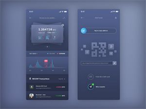 Finance Wallet & Add Funds iOS App Template PSD