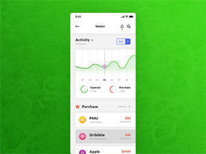 Finance Wallet & Dashboard iOS App – Free Resource