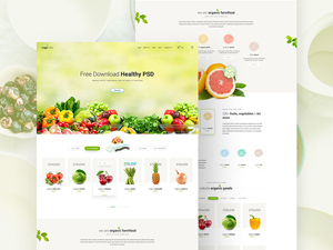 Healthy Food Website Template – Free PSD
