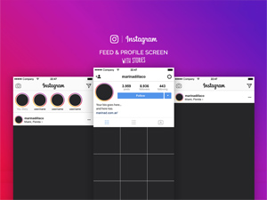Instagram Feed & Profile Layout UI Vector Template