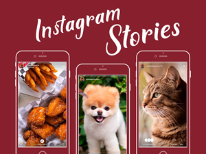 Instagram Stories Interface Templates PSD