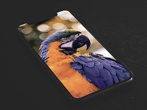 iPhone XS Mockup – Free Resource
