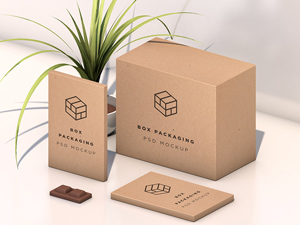 Isometric Box Packaging Mockup by Prathmesh