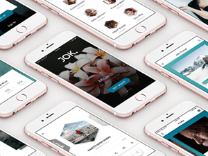 Jok UI KIT Free Sample