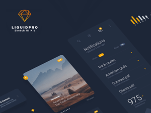 LiquidPro Sketch UI Kit