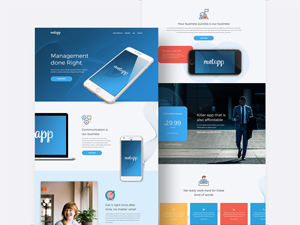Metapp Landing Page Template by Elegant Designs