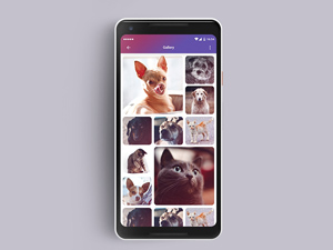 Mobile Camera Gallery Design – PSD Freebie