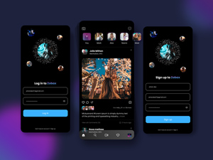 Social Media App Concept