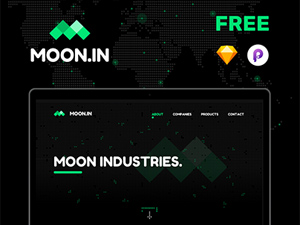 Moon.in Sketch & Principle Landing Page