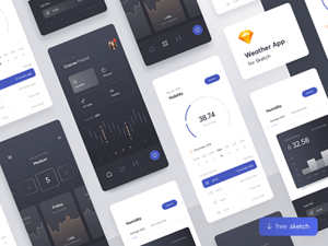Multifunctional Weather App Demo by Adam Sokołowski