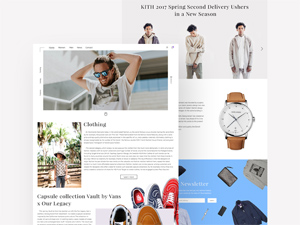 Napashi Shop Design Template by Anton Jurkov